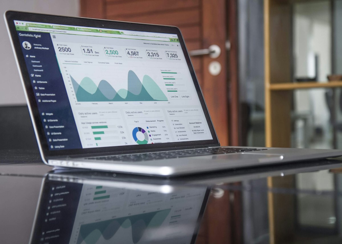 A screen showing financial charts and cash-flow projections for a small business